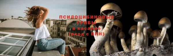 твердый Алексеевка