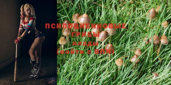 не бодяженный Алексин