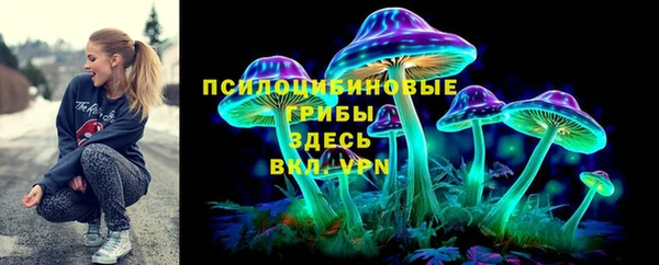 твердый Алексеевка