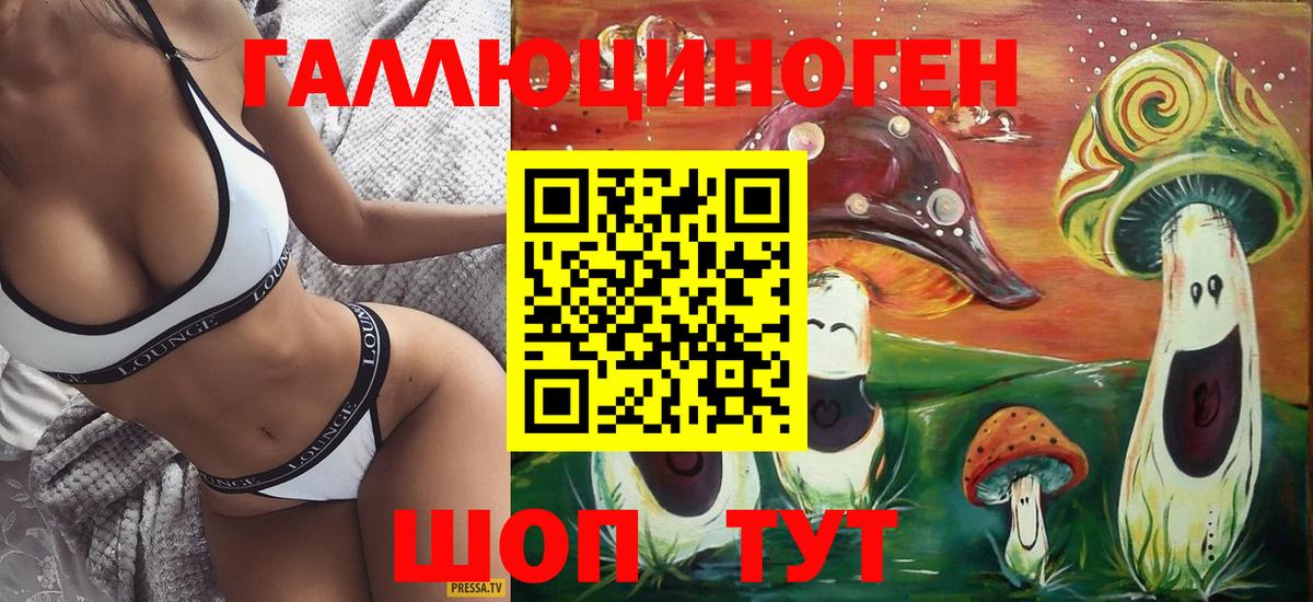 Елабуга  Псилоцибиновые грибы Cubensis  Вход с VPN 