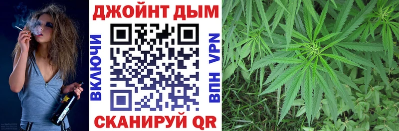 купить наркотик  Елабуга  MEGA как войти  Бошки марихуана SATIVA & INDICA 